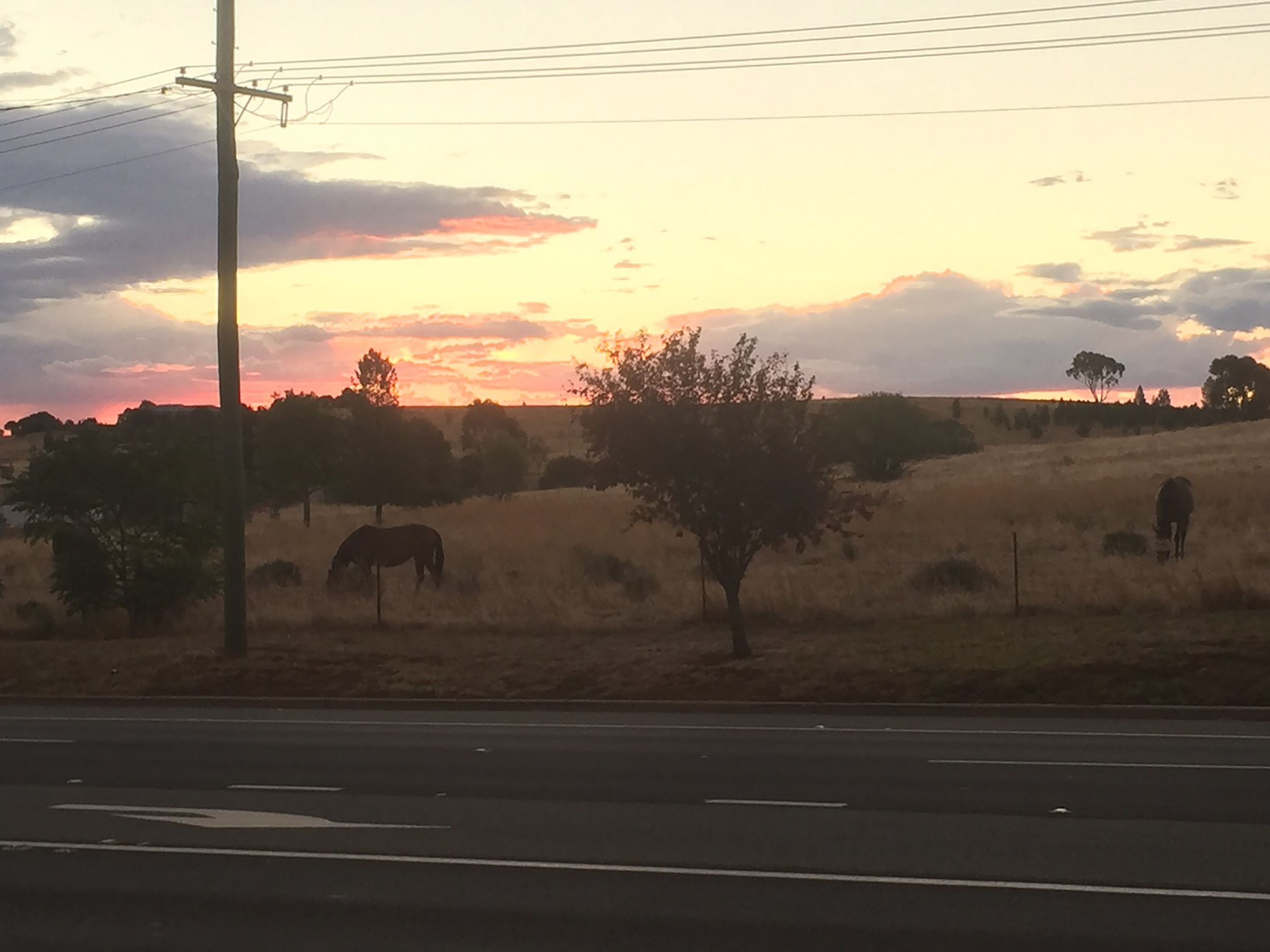 Paisaje rural con atardecer, una carretera y un caballo pastando.