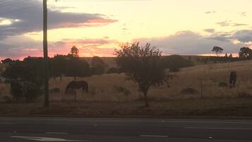 Paisaje rural con atardecer, una carretera y un caballo pastando.