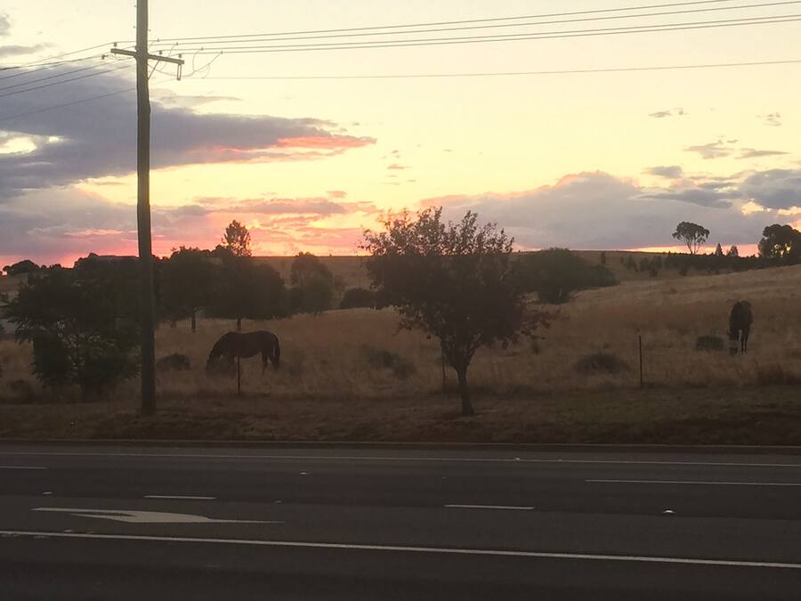 Paisaje rural con atardecer, una carretera y un caballo pastando.