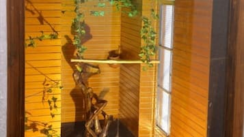 Détail de l’intérieur