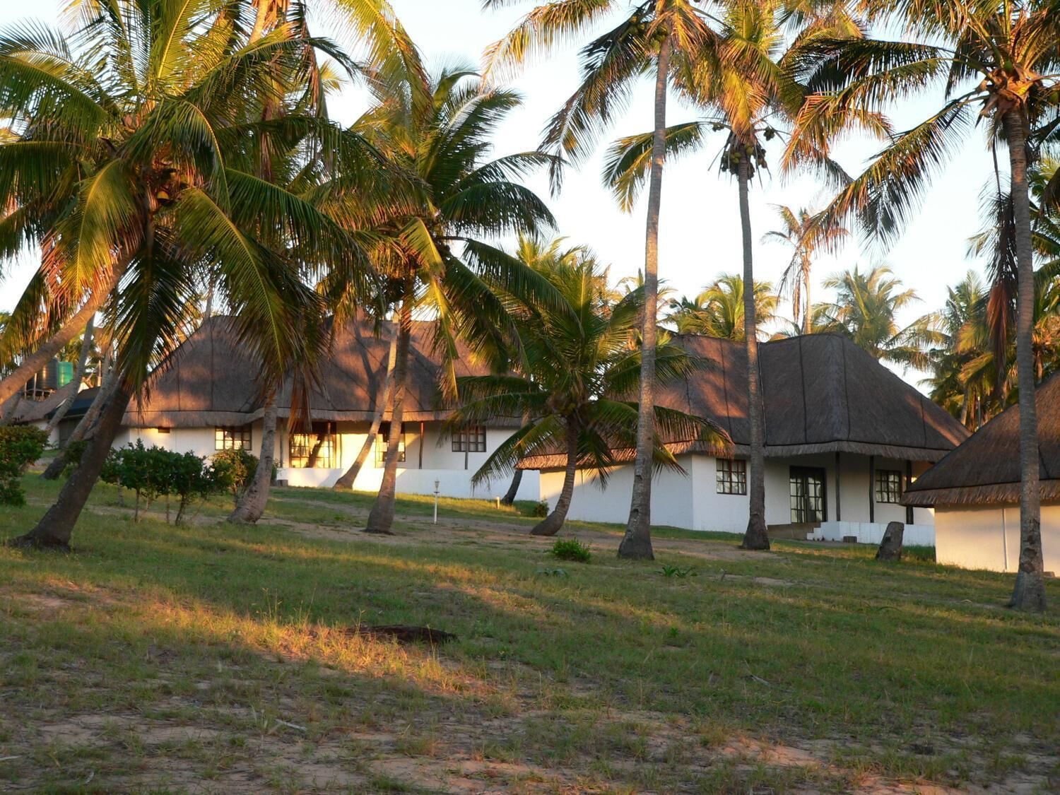 A resort with thatched-roof huts surrounded by palm trees.