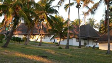 A resort with thatched-roof huts surrounded by palm trees.