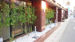 Una hilera de plantas de bambú a lo largo de la fachada de un edificio, con una acera y una calle al fondo.