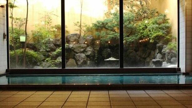 Una piscina con vistas a un jardín rocoso y follaje.