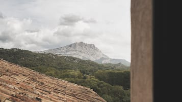 جناح مميز | إطلالة الغرفة
