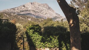 An outdoor dining area with tables and chairs, a large tree, and a mountain in the background. - Les Lodges Sainte-Victoire Hotel & Spa (Le Tholonet)