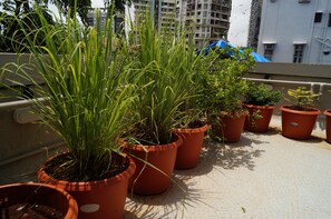 Des plantes en pot sur un balcon, avec une vue sur la ville en arrière-plan.