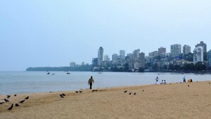 Una playa con el horizonte de una ciudad al fondo.