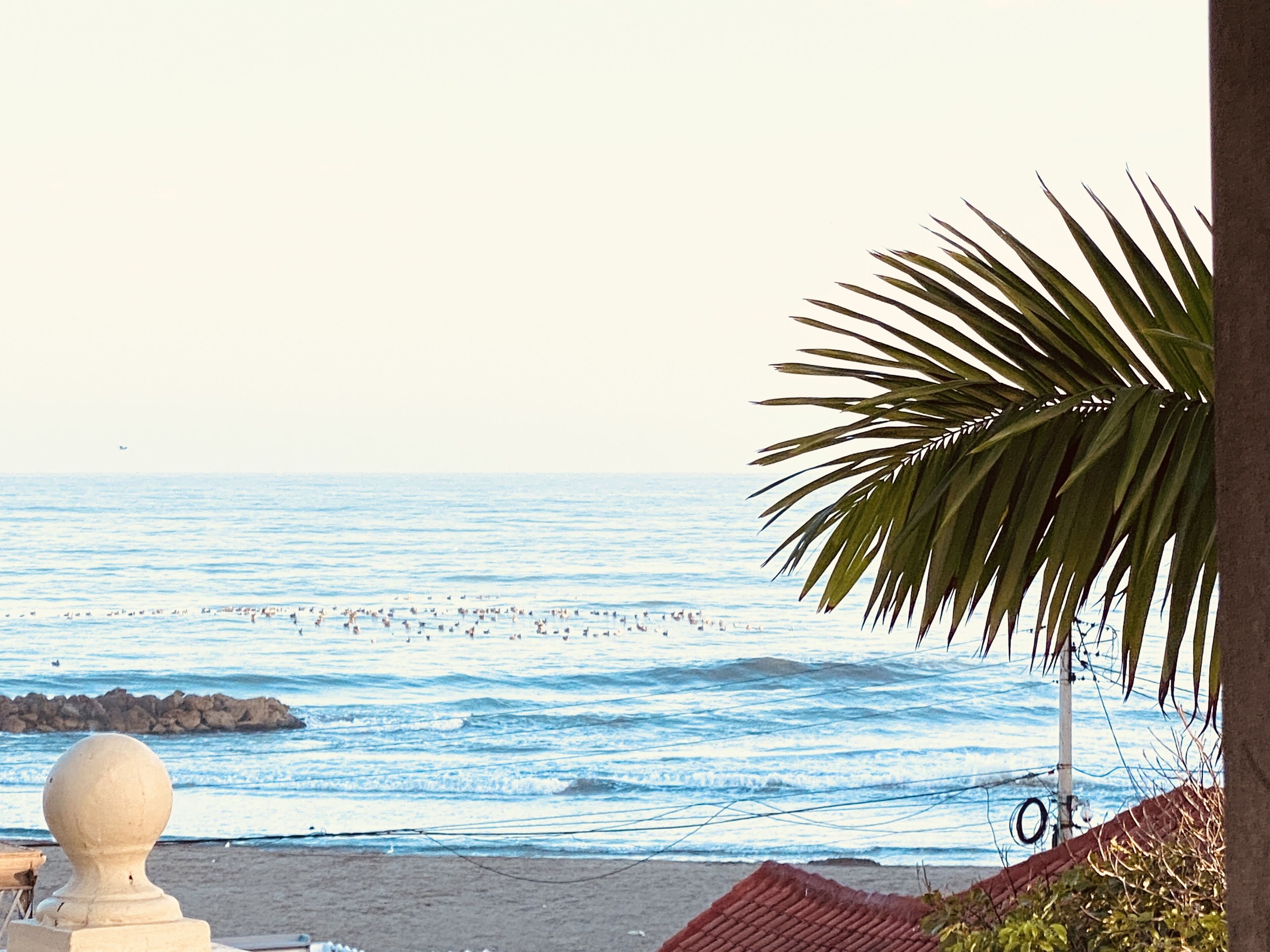 beach nearby, beach towels