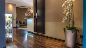 A hallway with a potted orchid, a glass display case, and a dark door. - Hotel Roma Sud (Frascati)