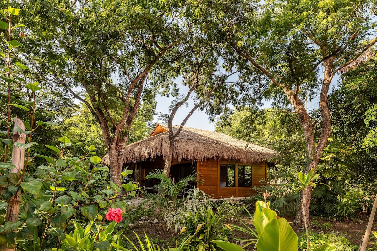 A wooden cabin with a thatched roof surrounded by lush greenery and trees.