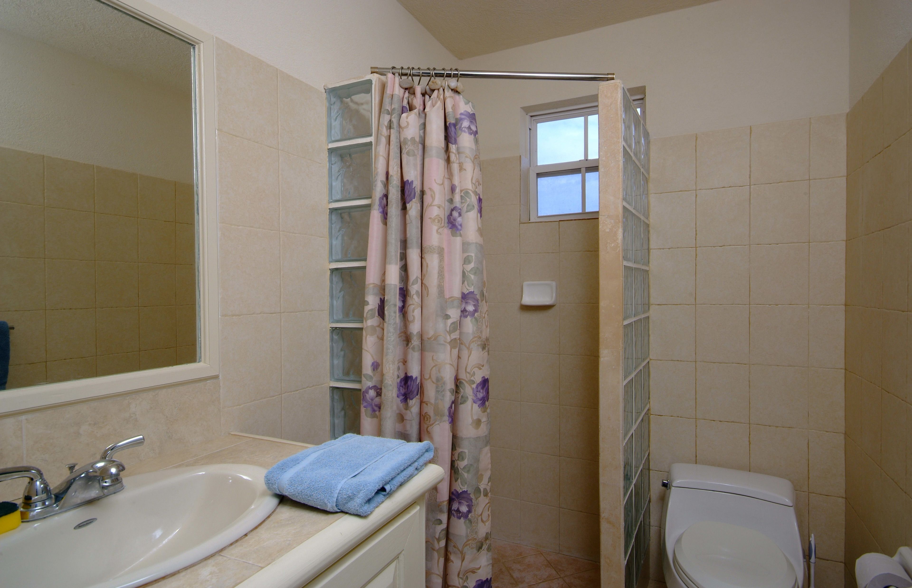 Un baño con lavabo, inodoro, cortina de ducha y un ventanal.