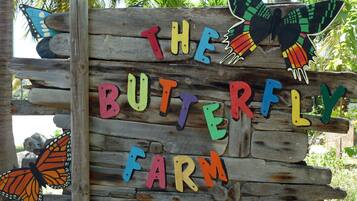 A wooden sign with colorful letters spelling "THE BUTTERFLY FARM" and two butterfly decorations.