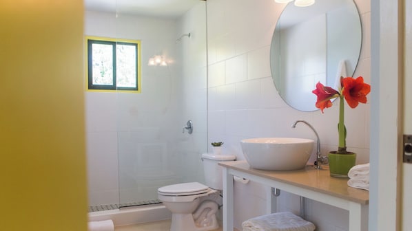 Un baño con inodoro, lavamanos, ducha y espejo.