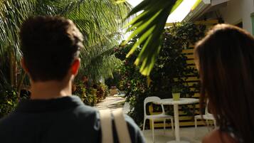 Un camino bordeado de abundante vegetación y una mesa blanca con sillas, que conduce a un edificio con paredes a rayas amarillas y negras.