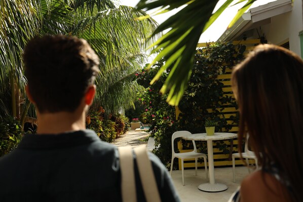 A pathway lined with lush greenery and a white table with chairs, leading to a building with yellow and black striped walls.