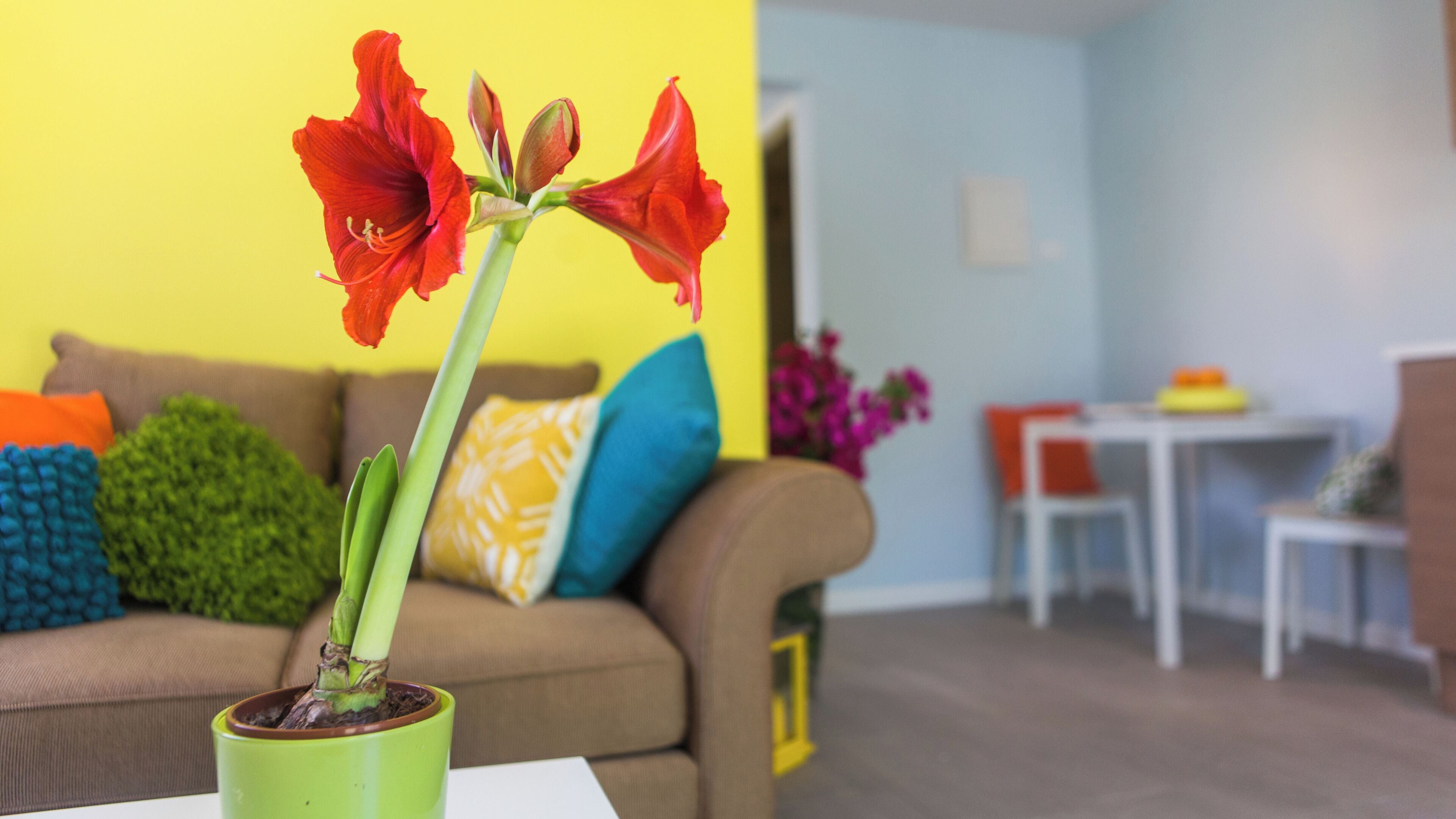 Foto - Bubali Bliss Studios & Villas