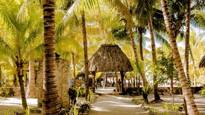 A pathway lined with palm trees leading to a thatched-roof structure.