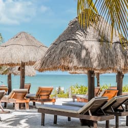 Trên bãi biển, cát trắng, ghế dài tắm nắng