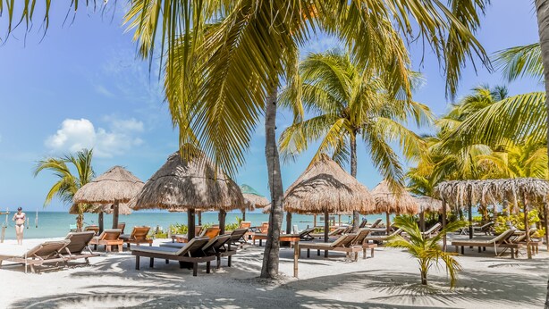 A beach with thatched umbrellas, wooden lounge chairs, and palm trees.
