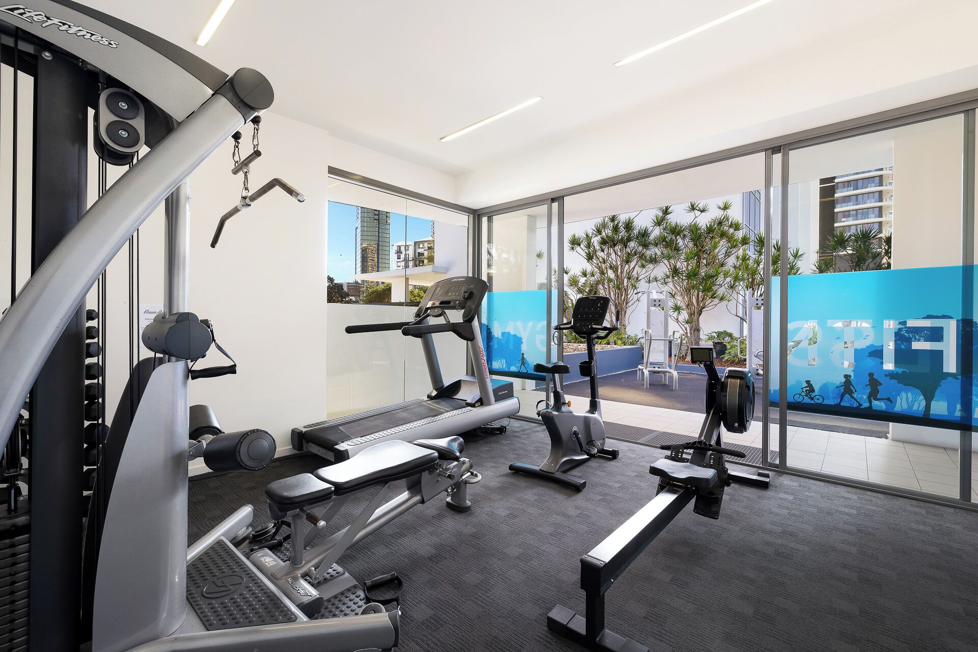 Gym