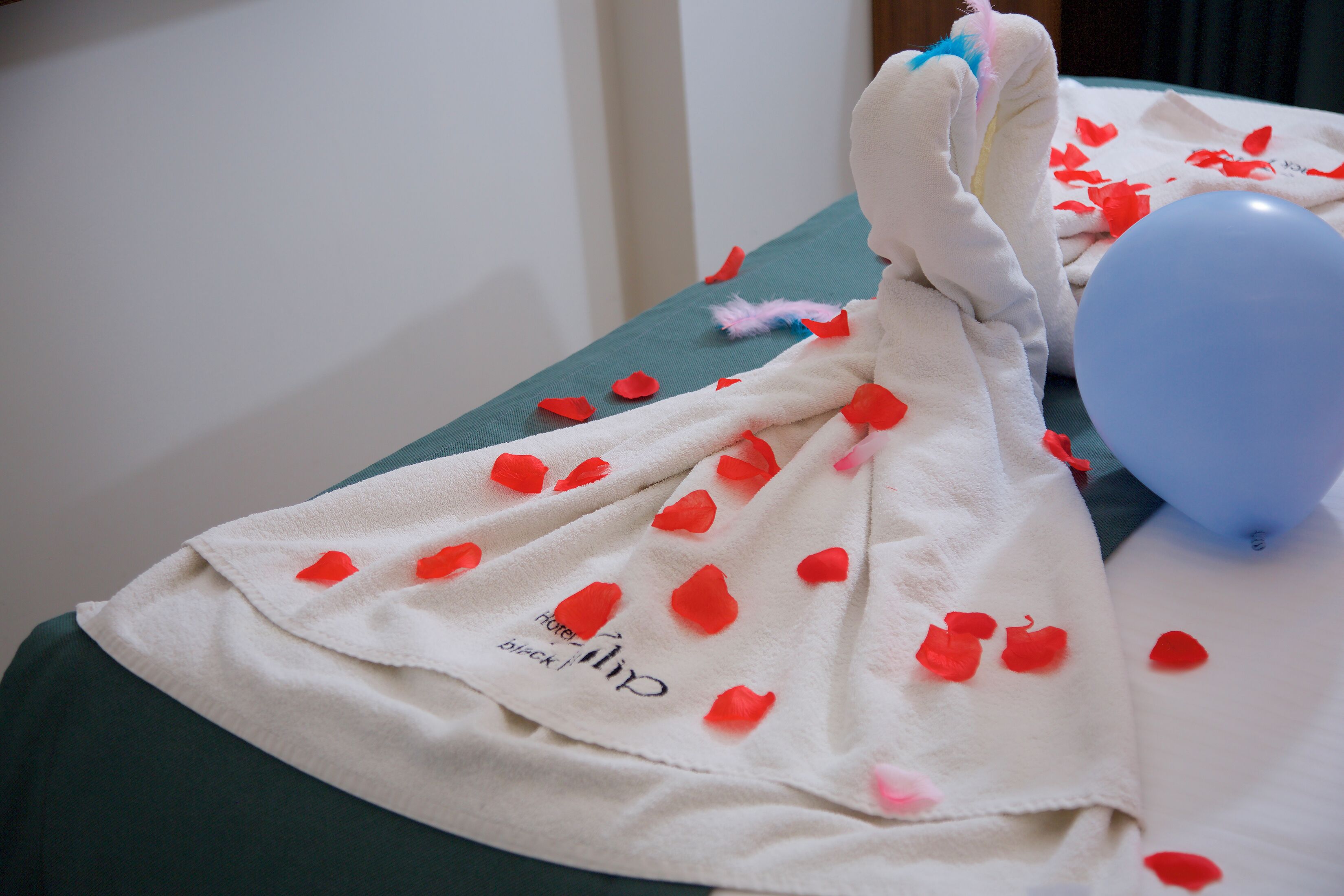 economy double room | premium bedding, minibar, in-room safe, free wifi