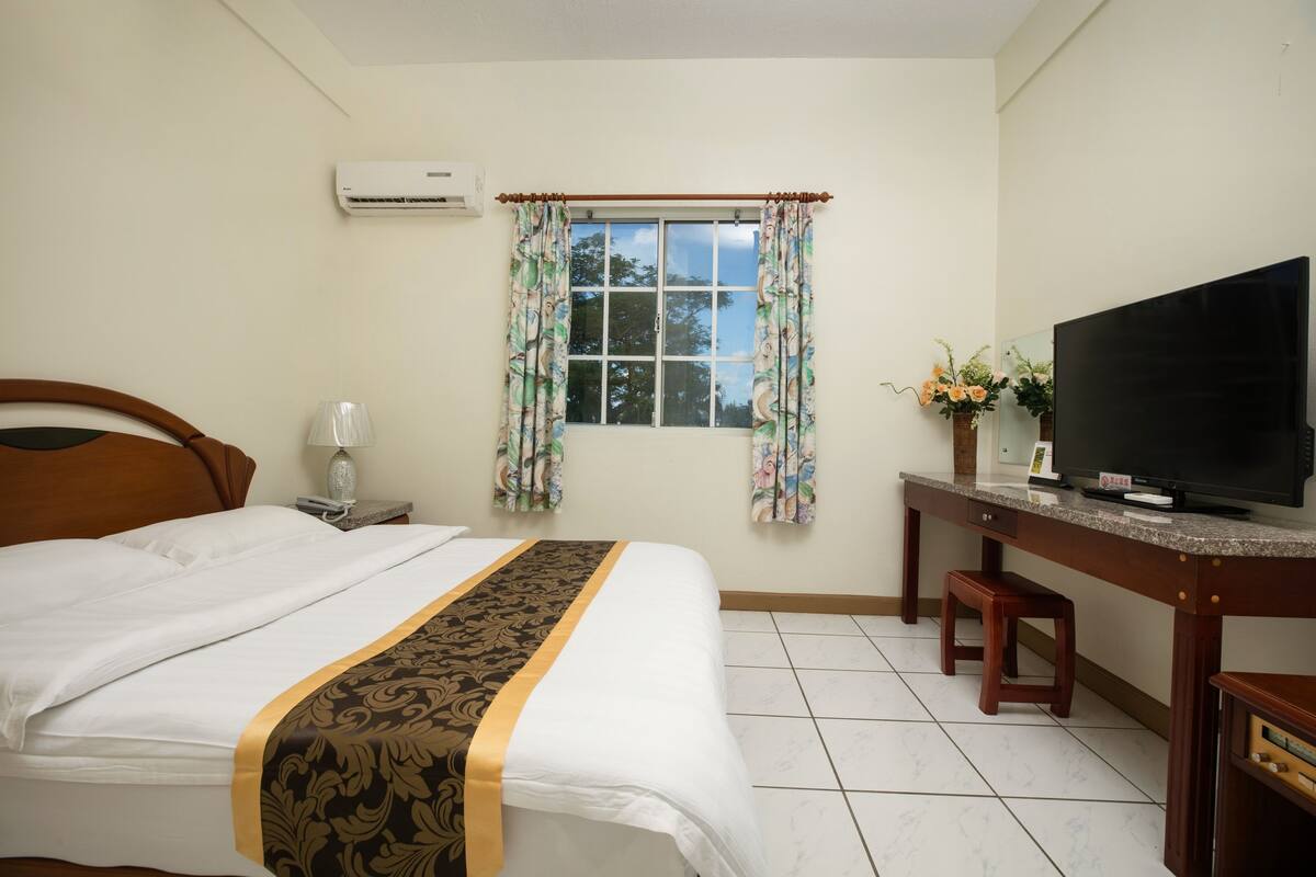 Habitación de hotel con cama, escritorio con televisor de pantalla plana, ventana con cortinas y planta en maceta.