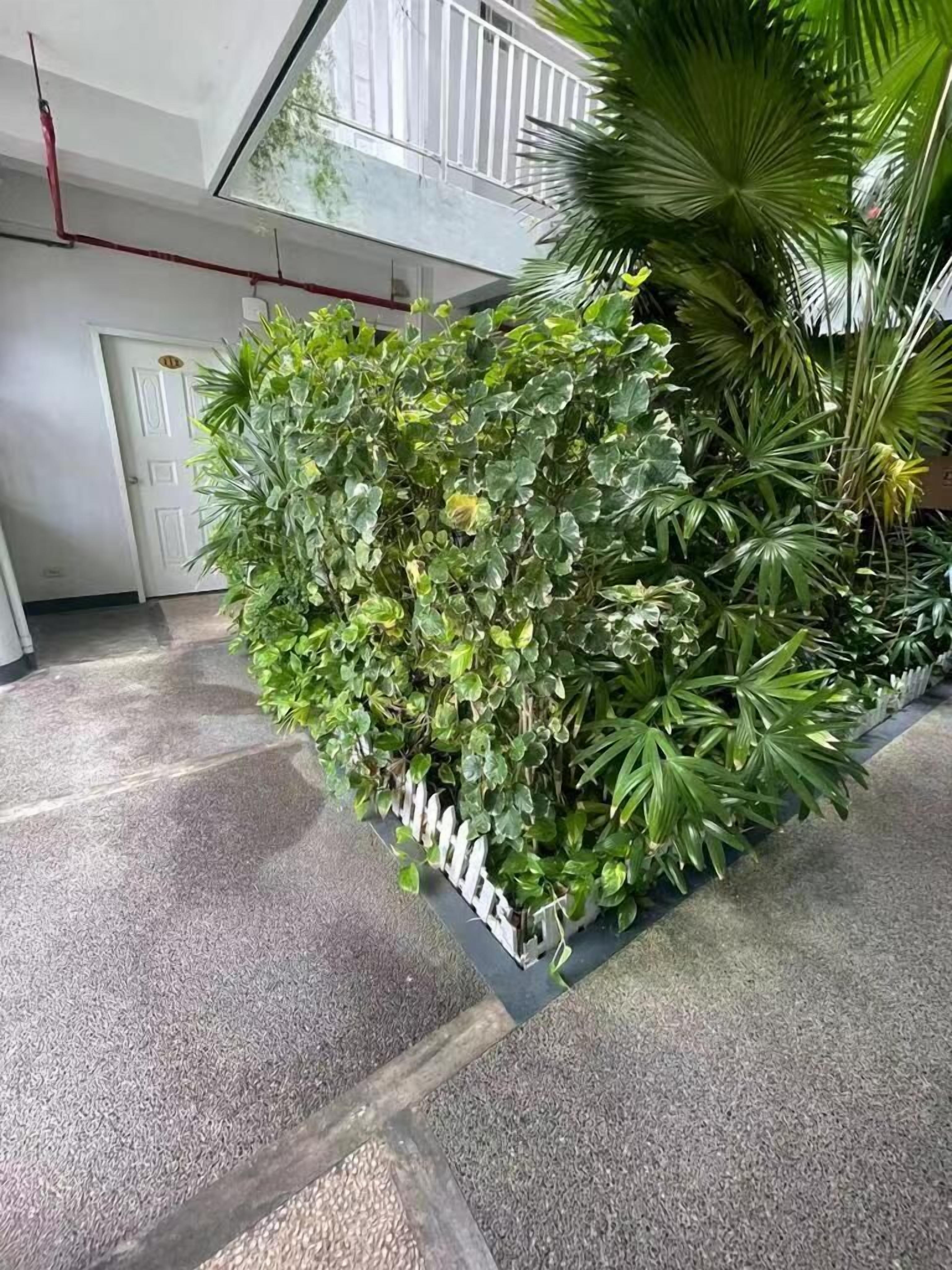 Jardim