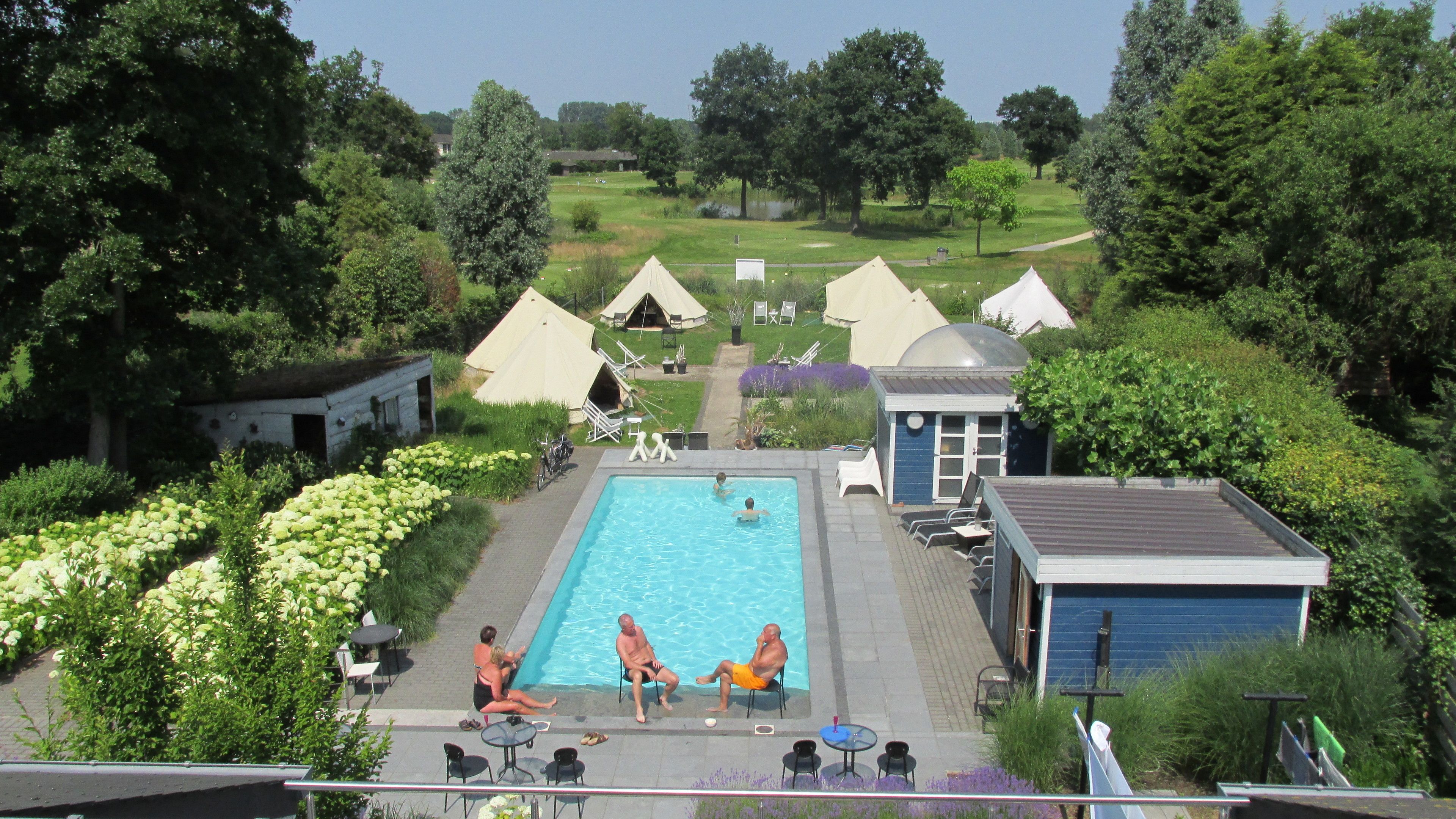 Une piscine entourée de personnes, de verdure et de tentes.