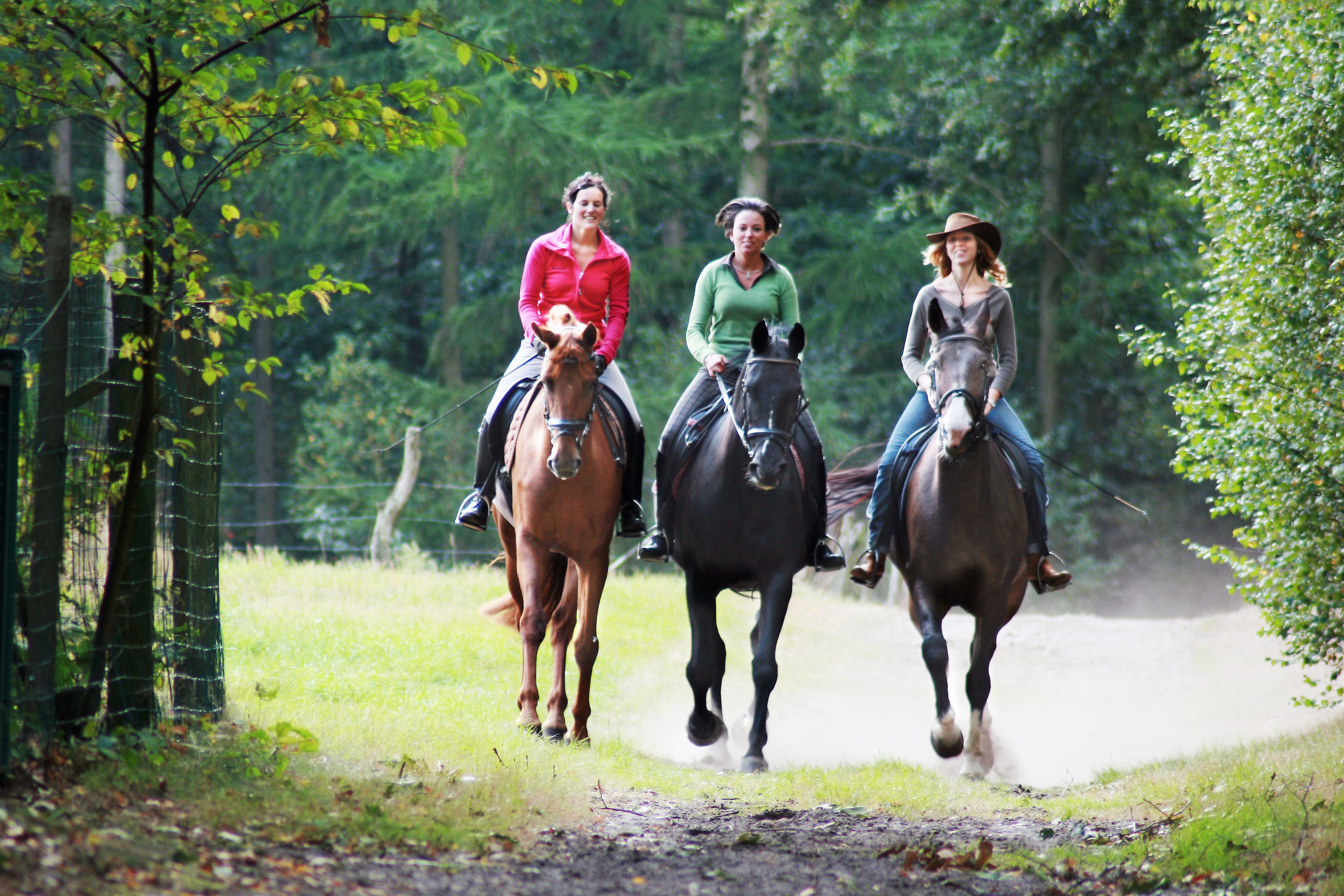 Tres personas cabalgando sobre un sendero de tierra rodeado de árboles.