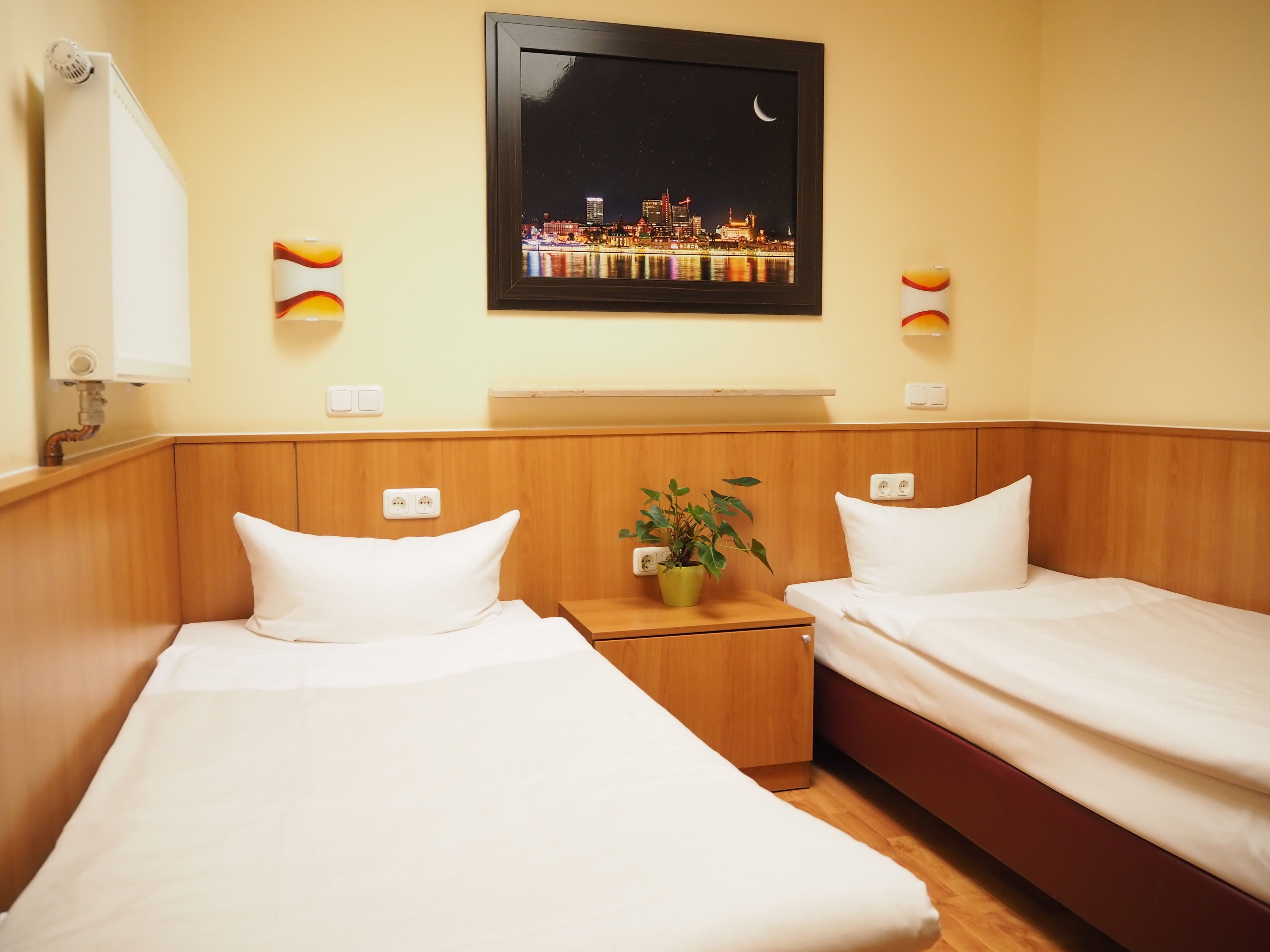 A hotel room with two beds, a night sky view, a small plant, and a framed picture on the wall.