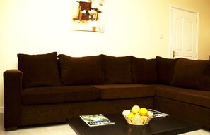 32 インチの薄型テレビ (衛星放送視聴可)、テレビ