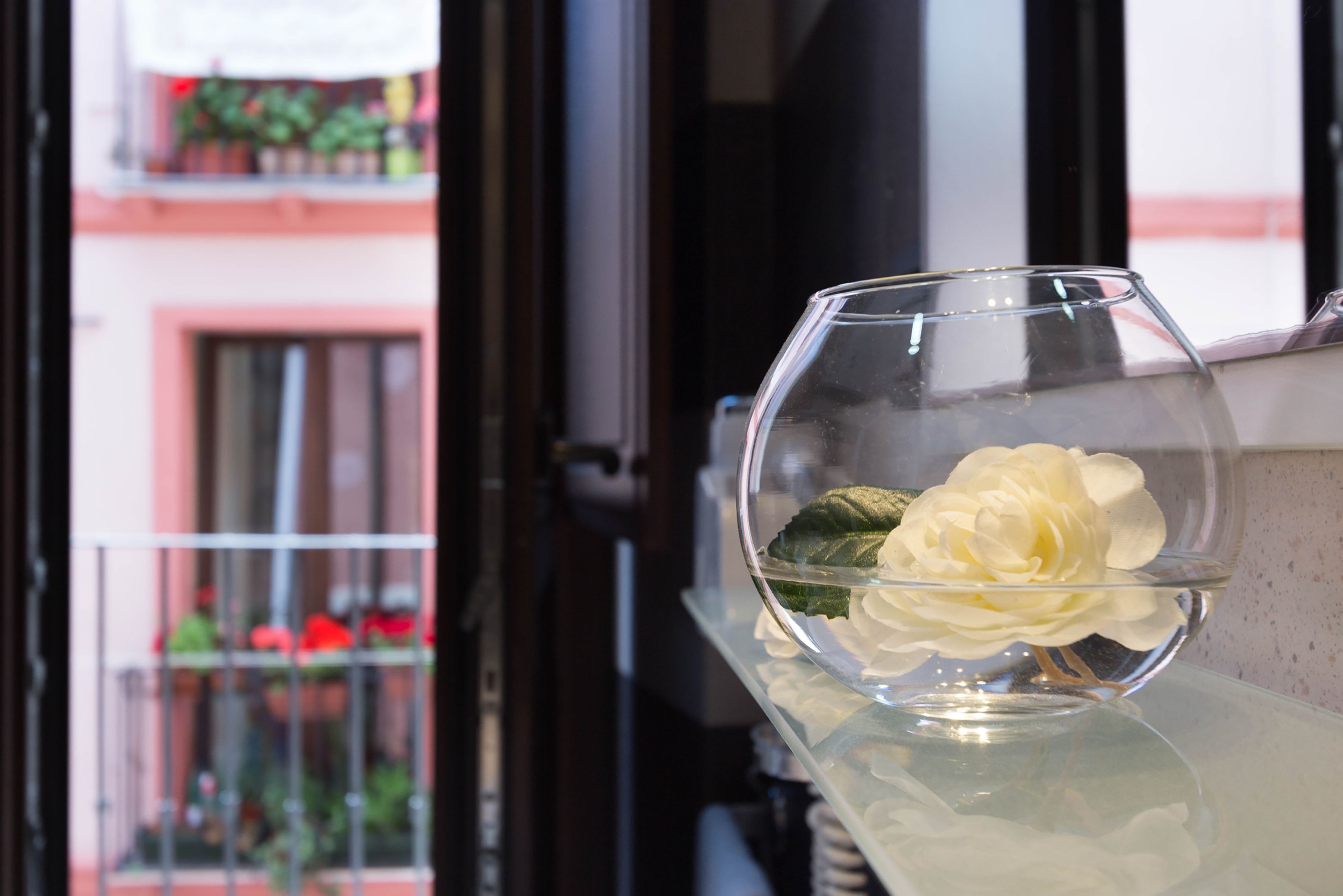 高級雙人或雙床房 | 客房景觀