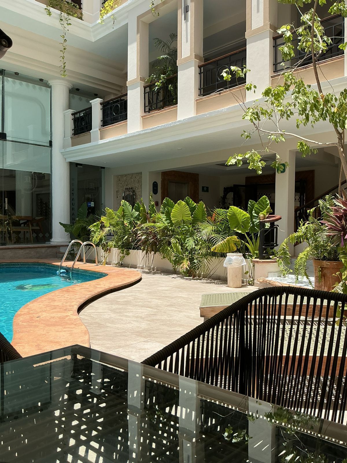 Terraza o patio