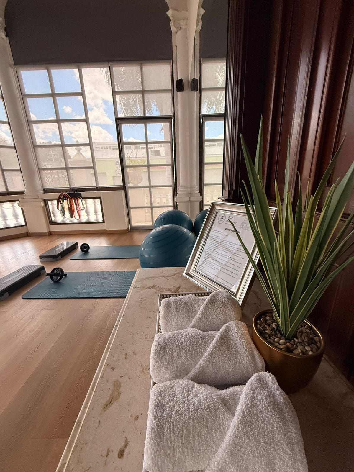 A room with exercise mats, a yoga wheel, a potted plant, and a framed certificate on a table.