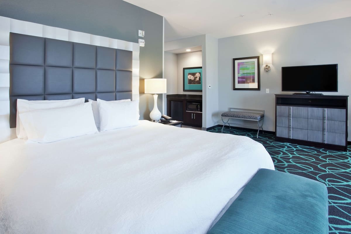 room, 1 king bed, accessible, non smoking | down duvets, in-room safe, free cots/infant beds, free wifi