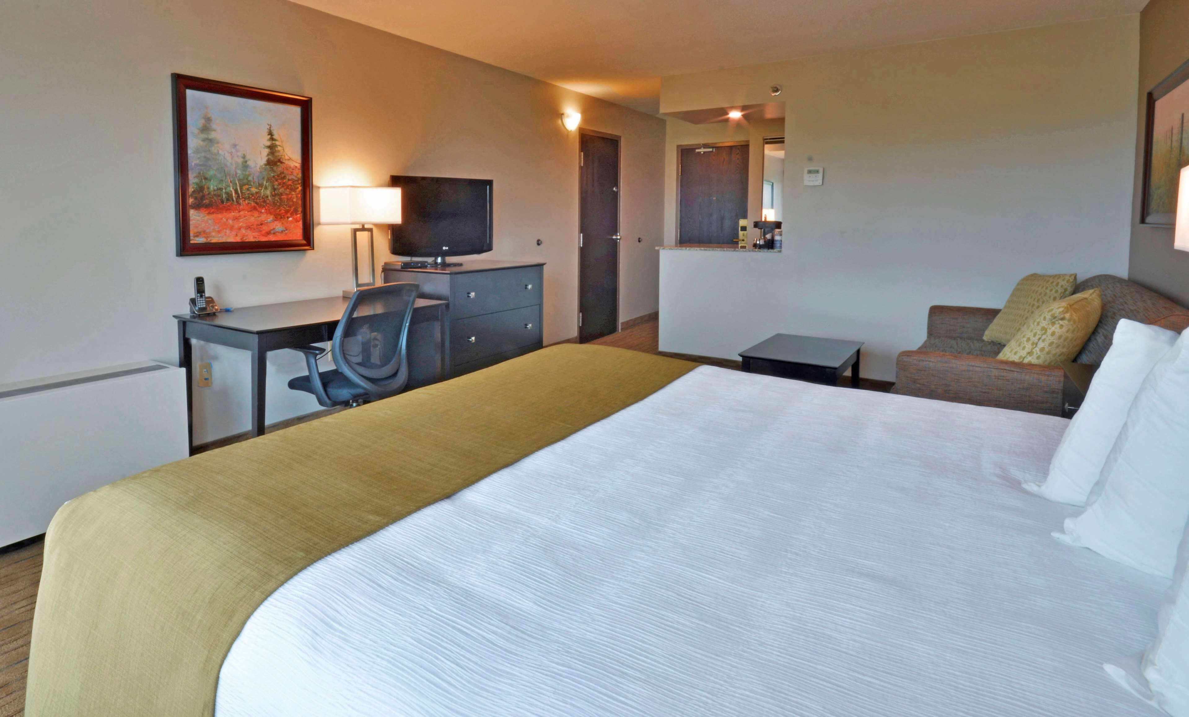 Executive Room, 1 King Bed, Non Smoking