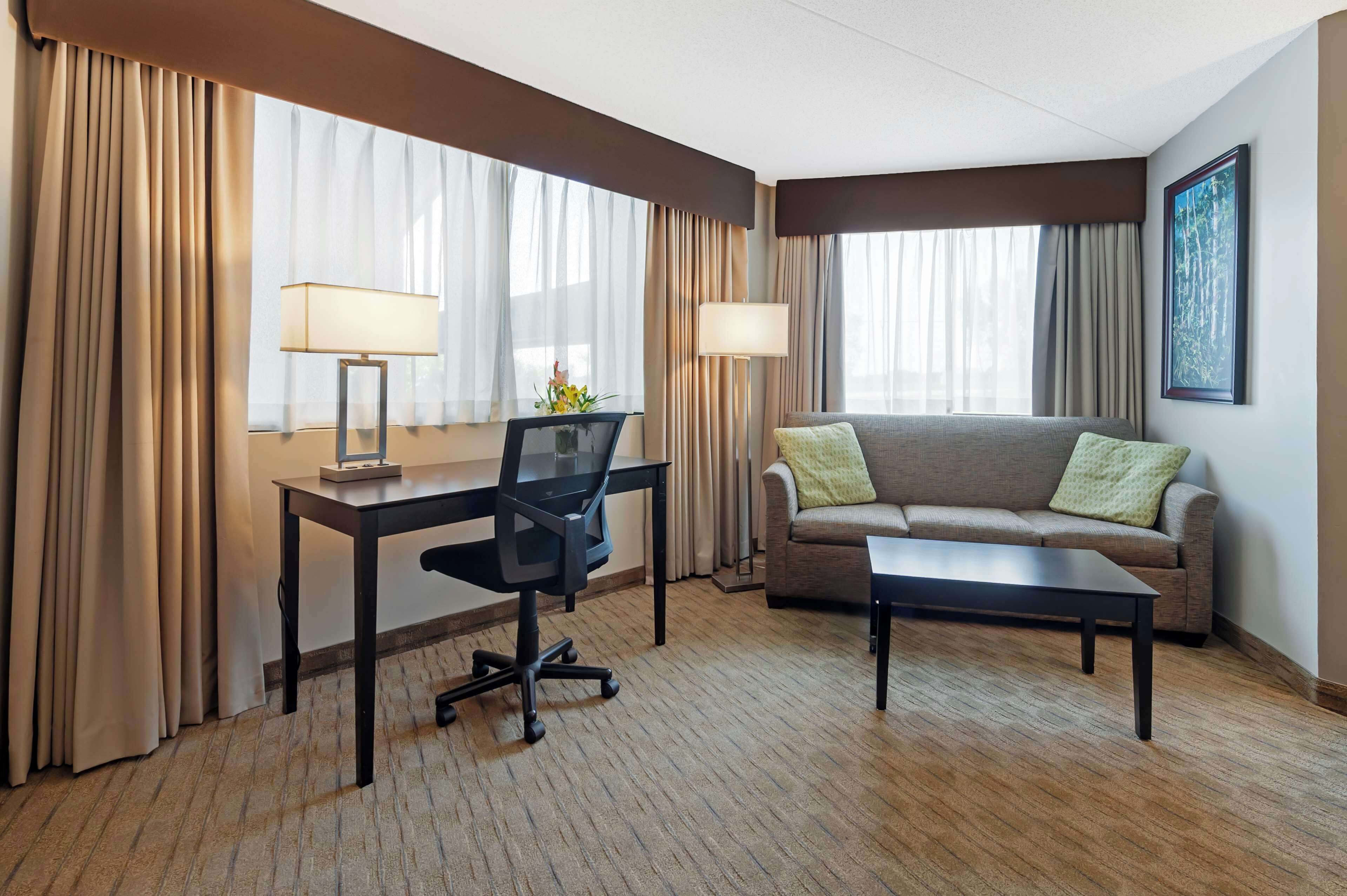 standard room, 1 king bed, jetted tub, pool view (with sofabed) | premium bedding, individually decorated, individually furnished, desk