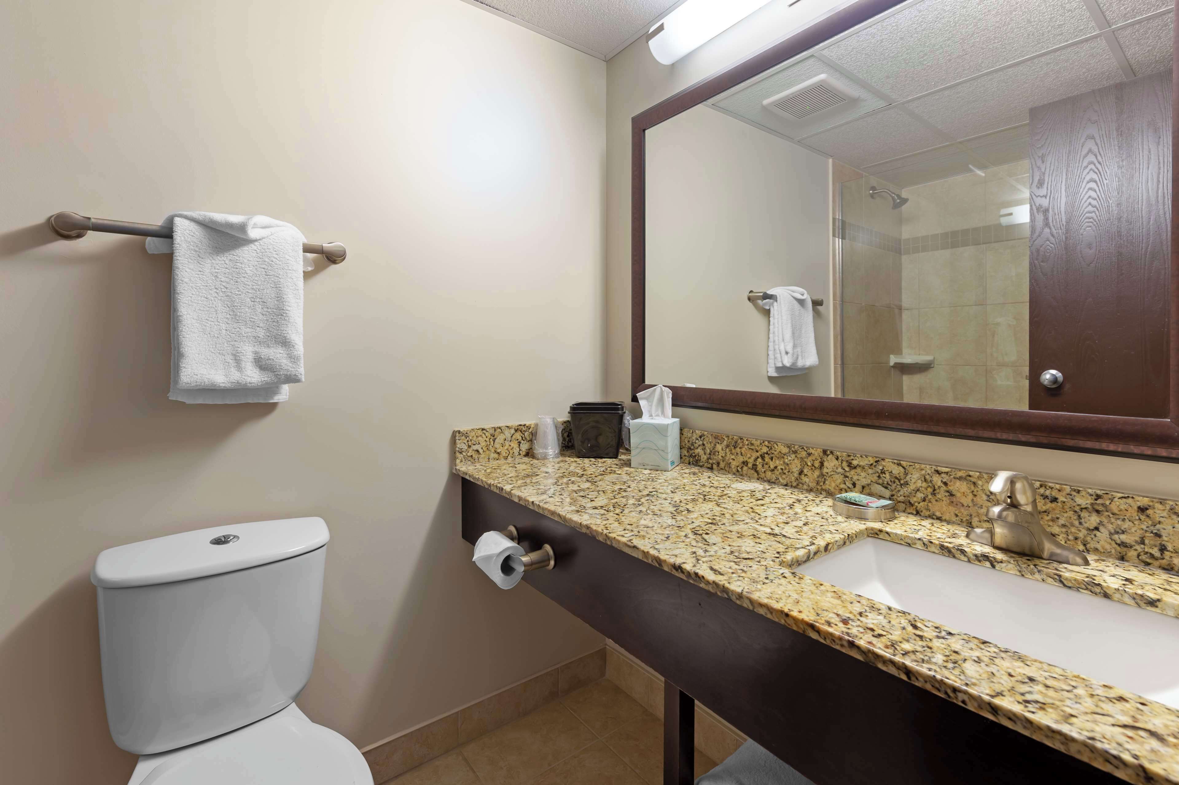 free toiletries, hair dryer, towels