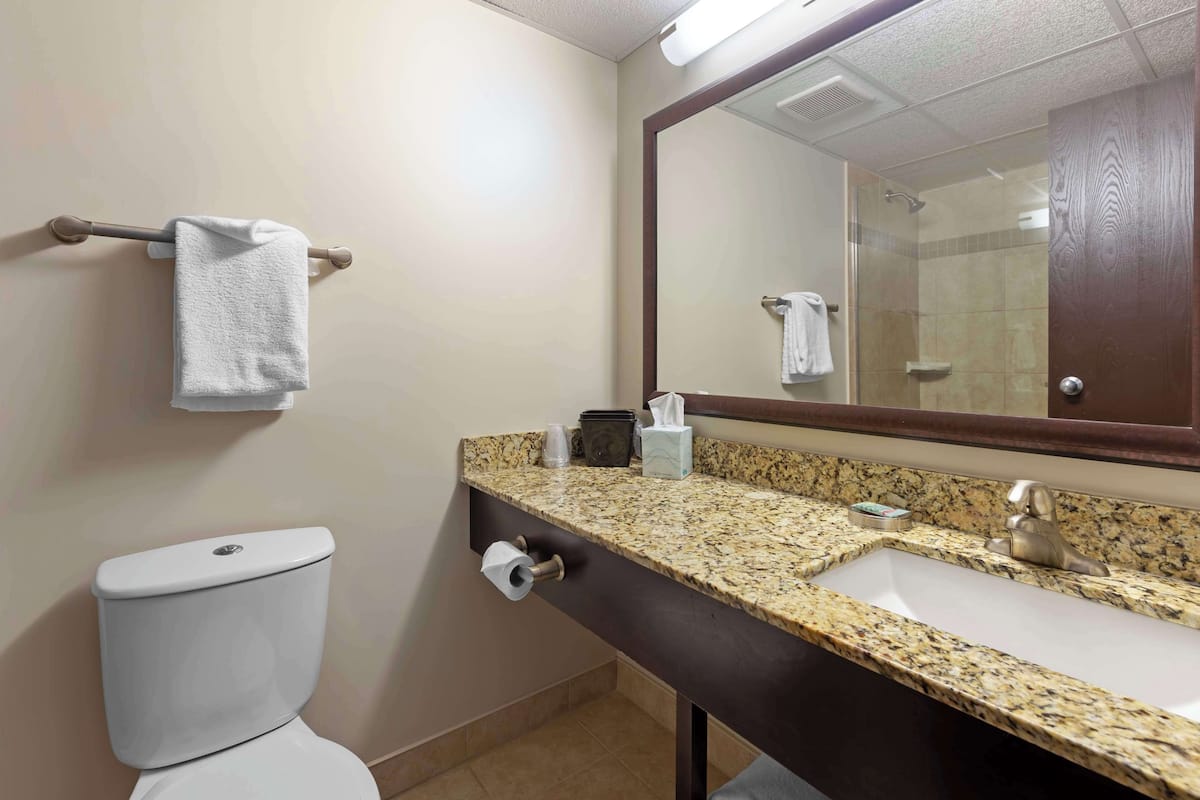 free toiletries, hair dryer, towels