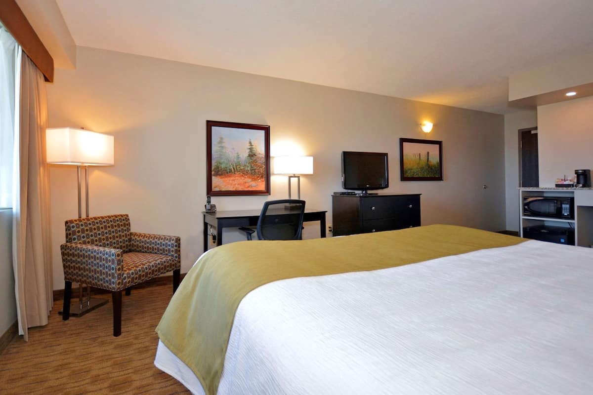 Premium bedding, individually decorated, individually furnished, desk