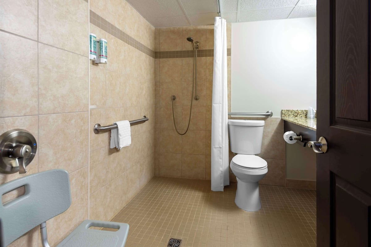 free toiletries, hair dryer, towels