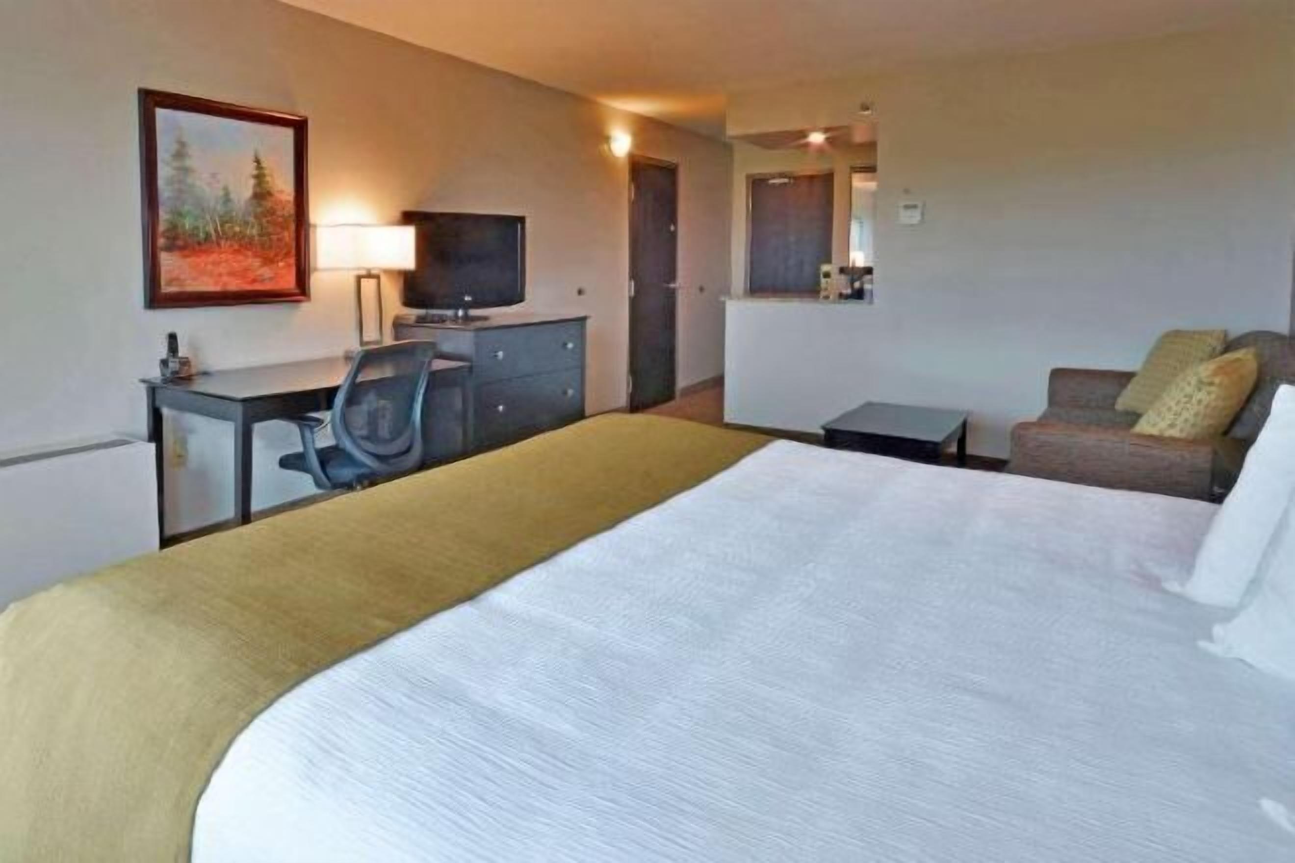 Premium bedding, individually decorated, individually furnished, desk
