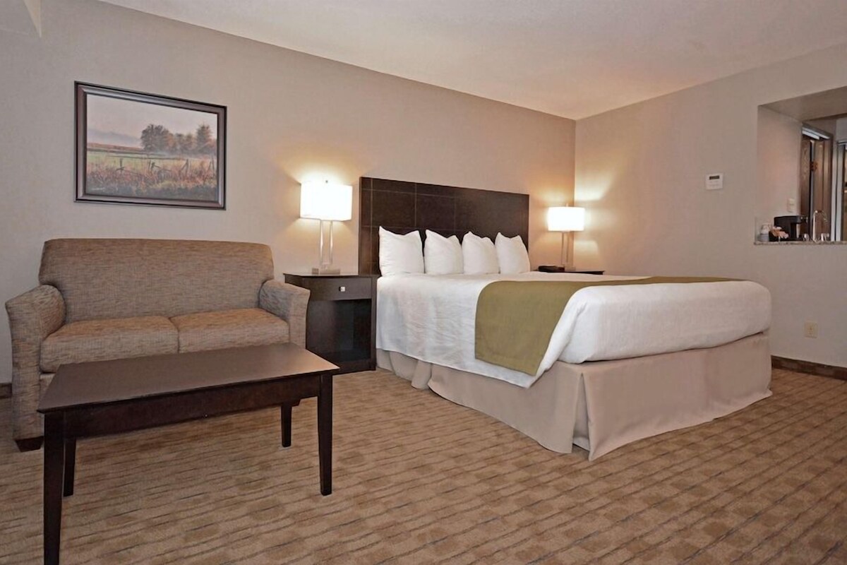 1 King Bed Pool View
