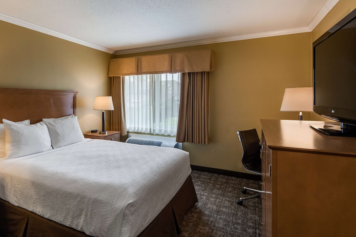 Blackout drapes, iron/ironing board, free cribs/infant beds