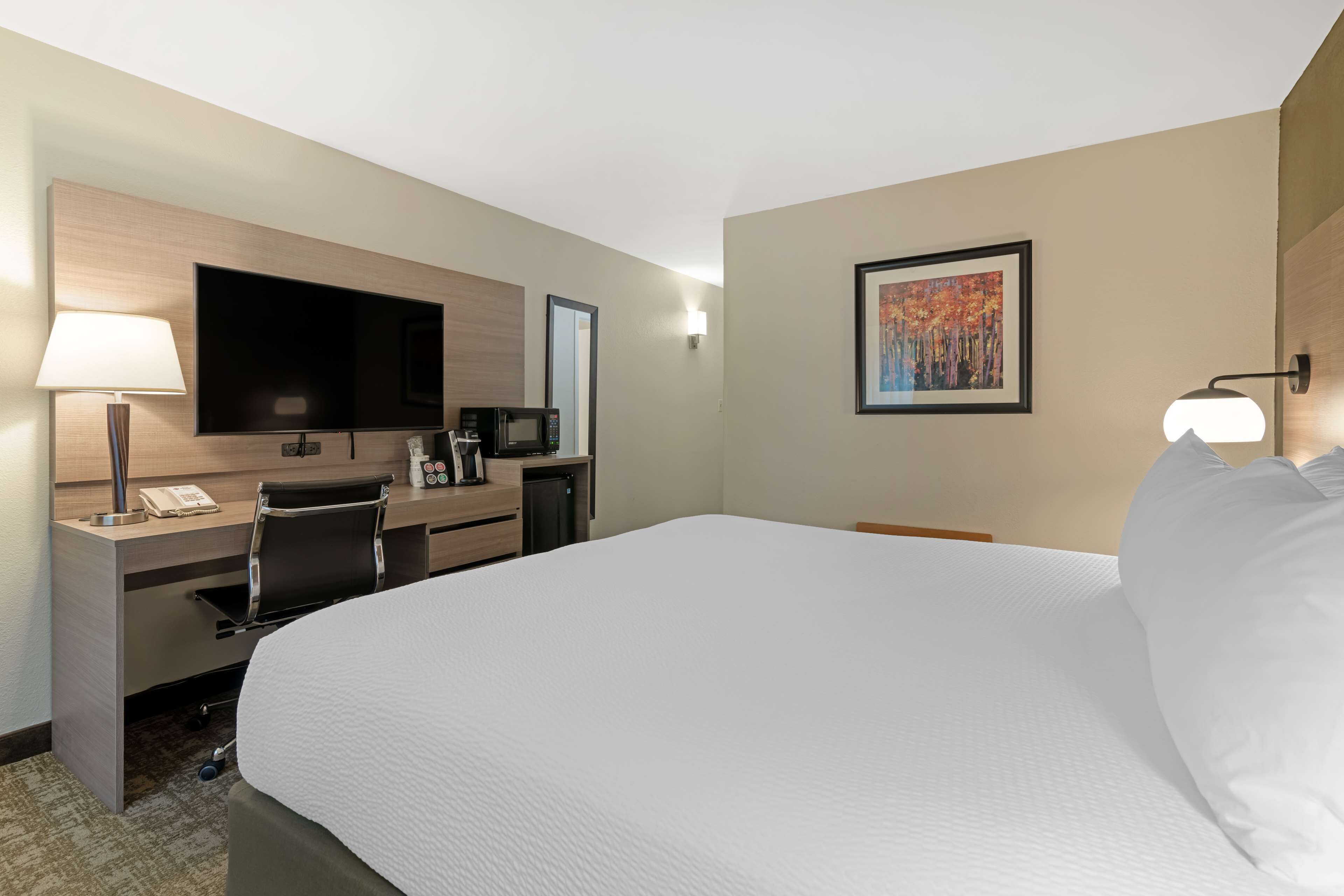 Een hotelkamer met een groot bed, een bureau met een flatscreen televisie, een magnetron en een koffiezetapparaat.