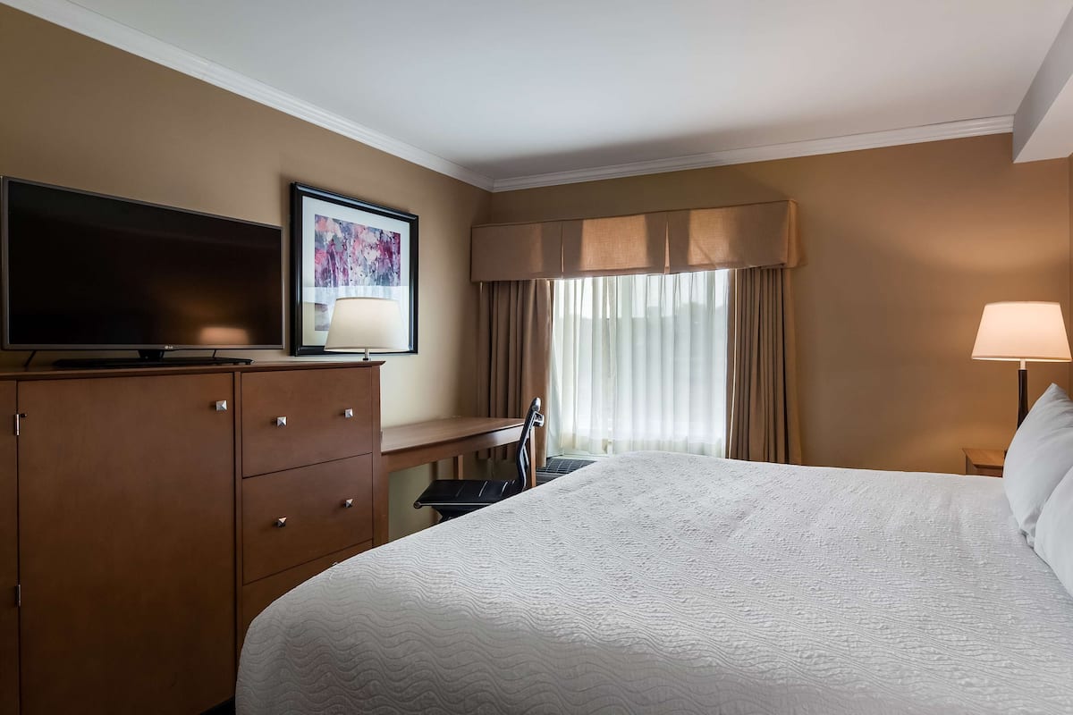 Standard Room, 1 King Bed, Non Smoking, Refrigerator & Microwave (No Pets in room type) | Blackout drapes, iron/ironing board, free cribs/infant beds