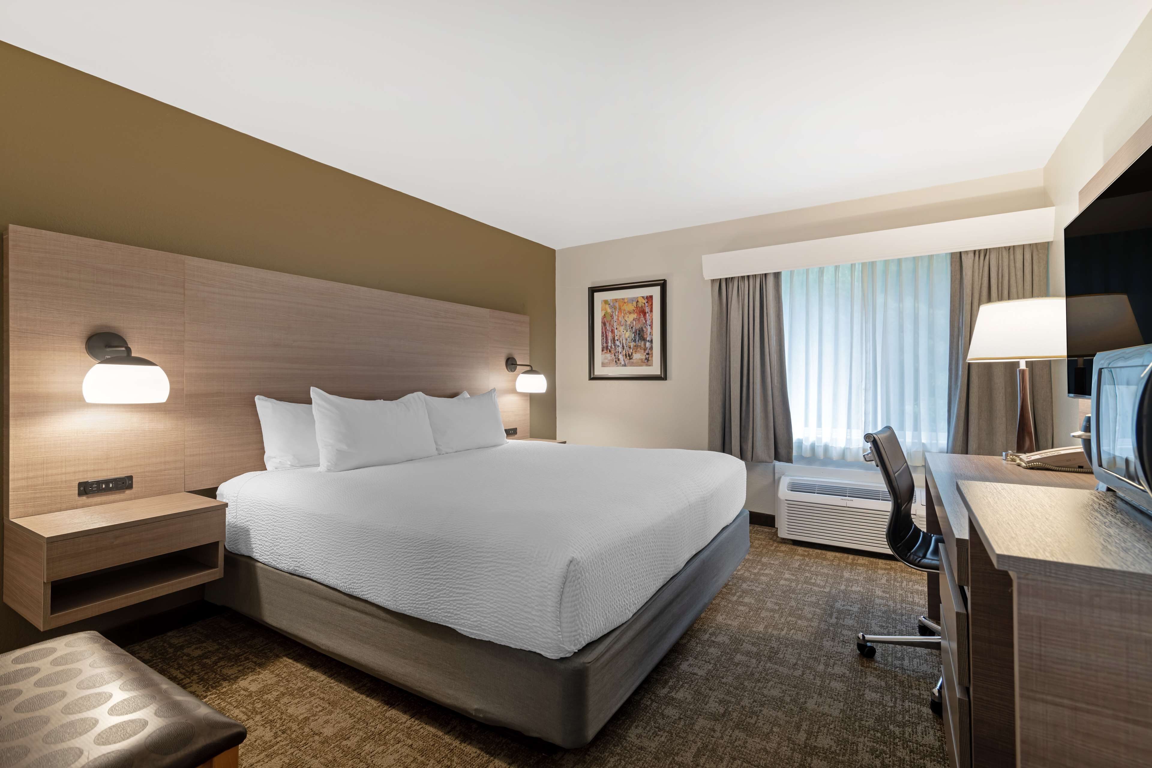 Standard-huone, 1 suuri parisänky, tupakointi kielletty (No Pets in room type) | Pimennysverhot, silitysrauta/-lauta, ilmaiset vauvansängyt, lisävuoteet