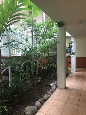 Interior - Palm Villas Resort (Port Douglas)