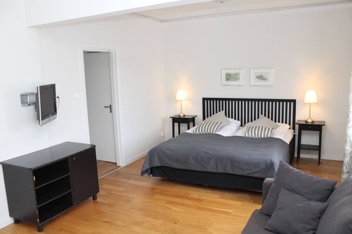 A bedroom with a bed, bedside tables, a TV, a wardrobe, and a sofa.